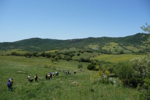 Montes de Propios